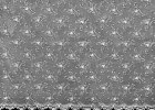 2282_10.jpg