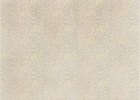 2304_11.jpg